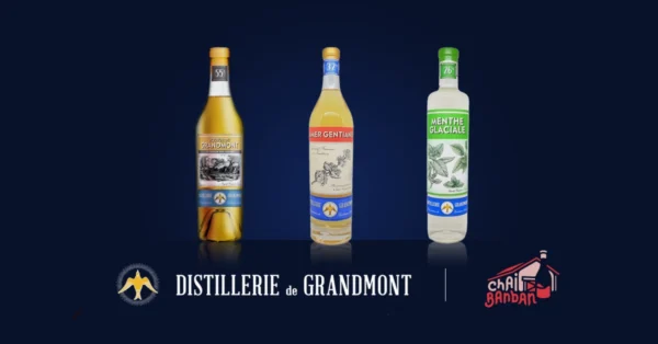 Dégustation de vins rouges à limoges