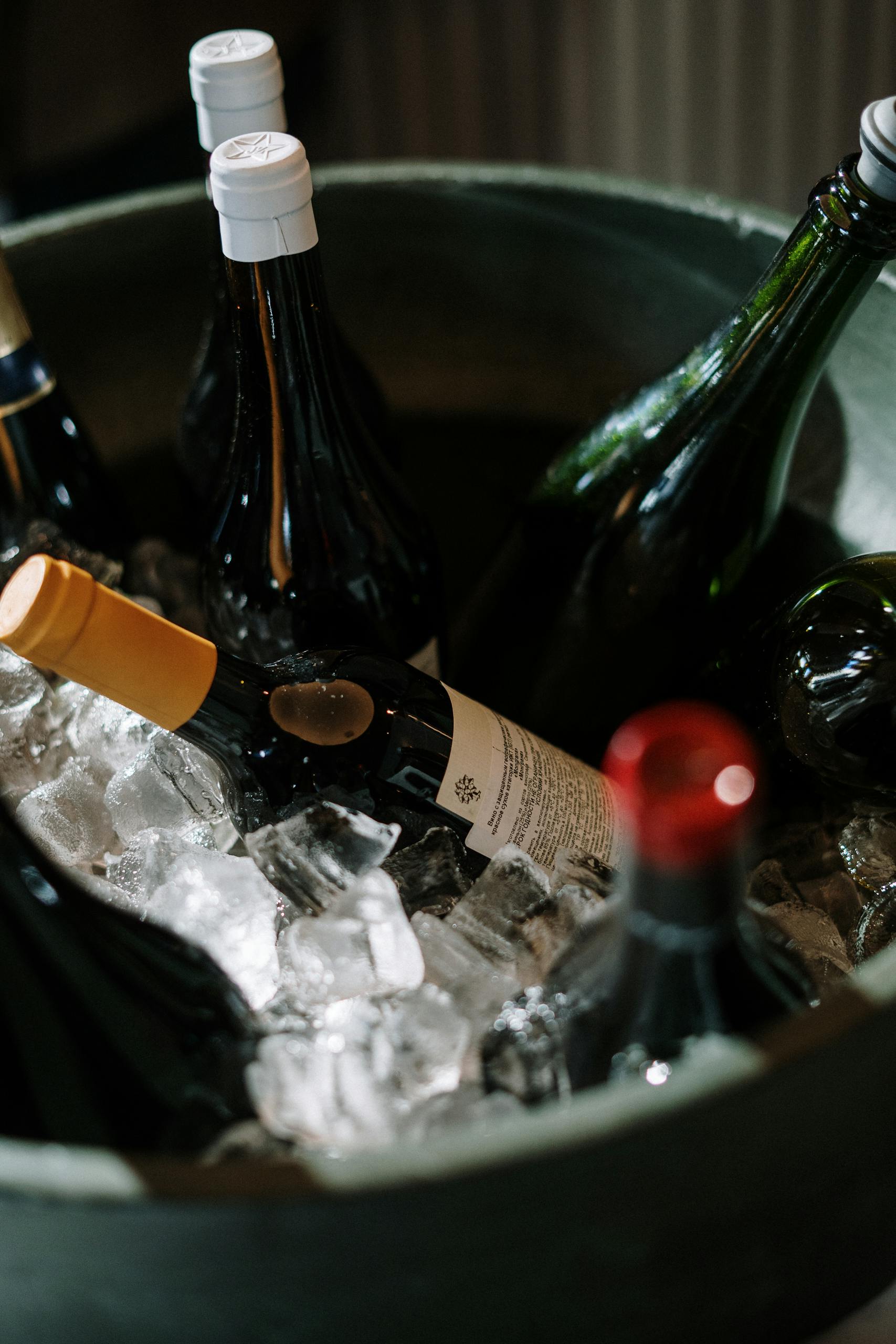A close-up view of wine bottles chilled on ice, perfect for festive occasions.